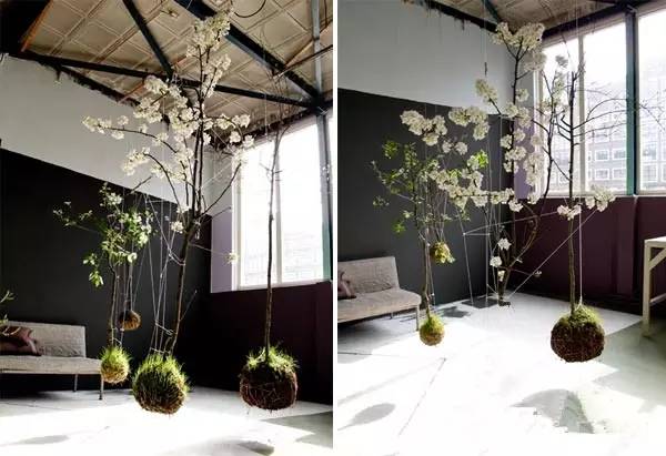  悬挂式植物花园
