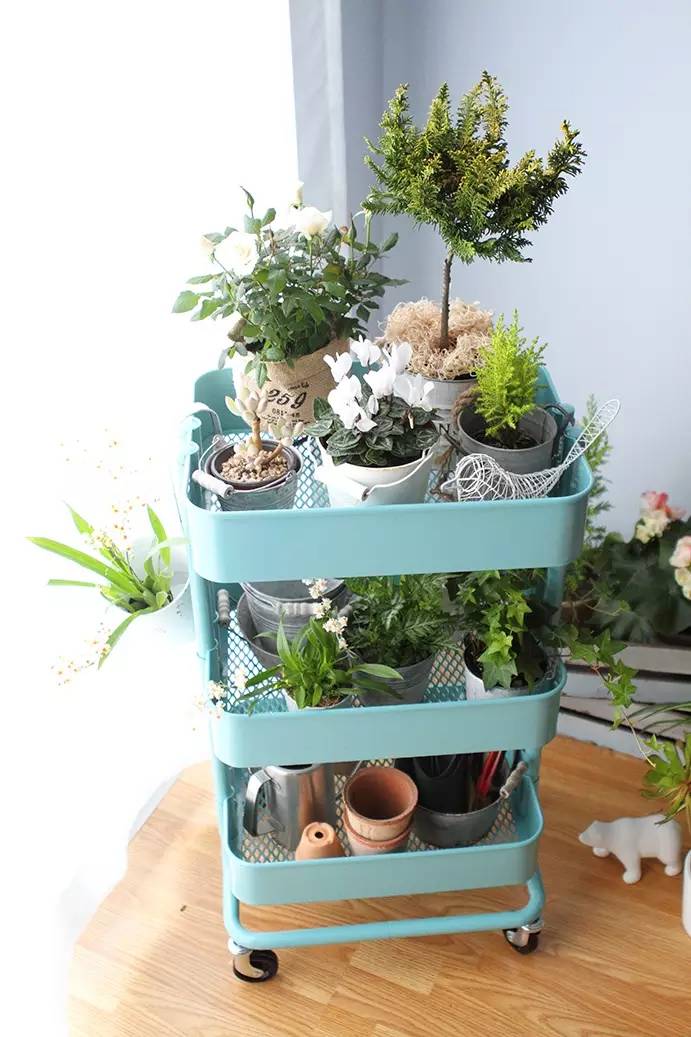 和IKEA一同打造属于你的“移动花园”