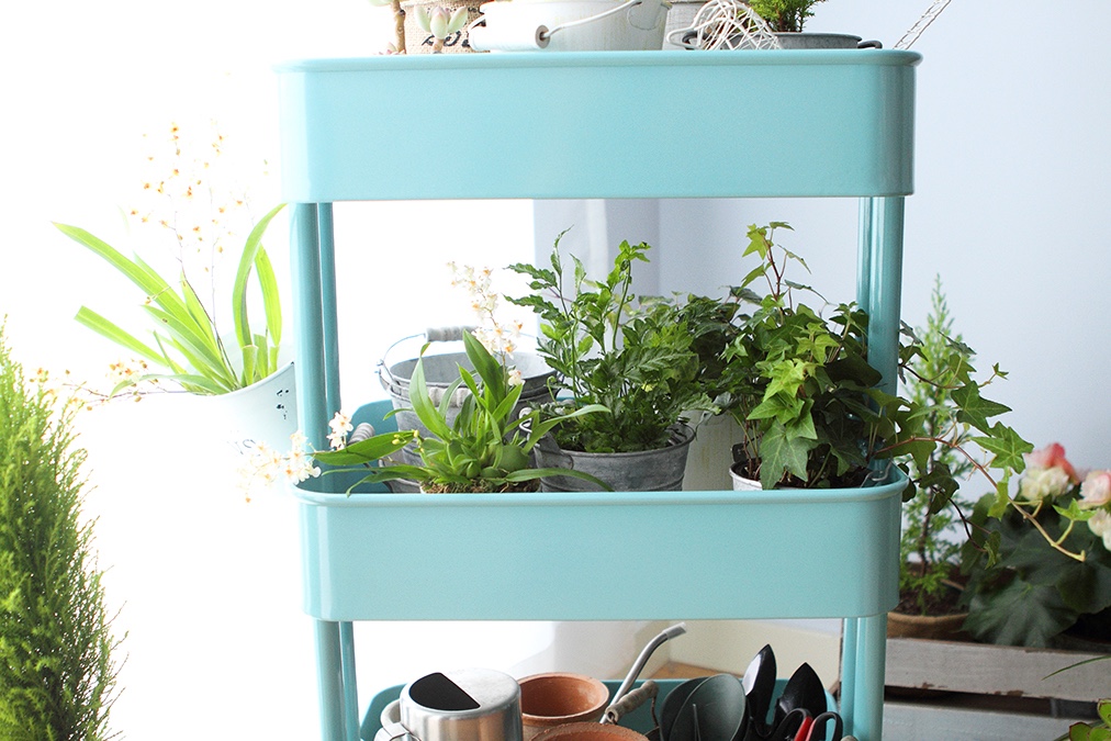 和IKEA一同打造属于你的“移动花园”