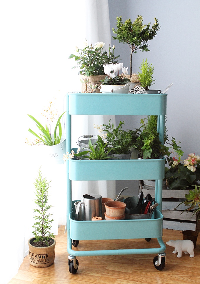 和IKEA一同打造属于你的“移动花园”