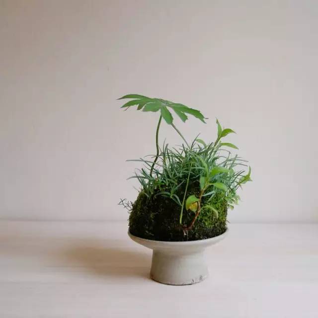 草做的盆景