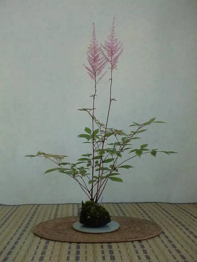 草做的盆景