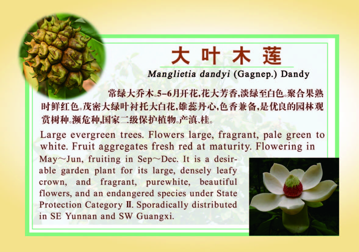 58种木兰科植物