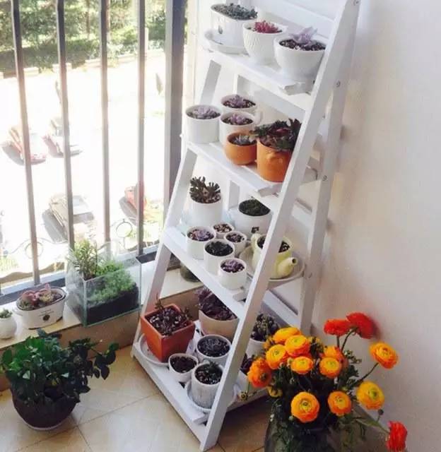 阳台总是不够用，挑些小件来帮忙！