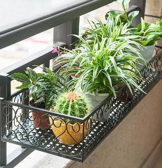 阳台总是不够用，挑些小件来帮忙！