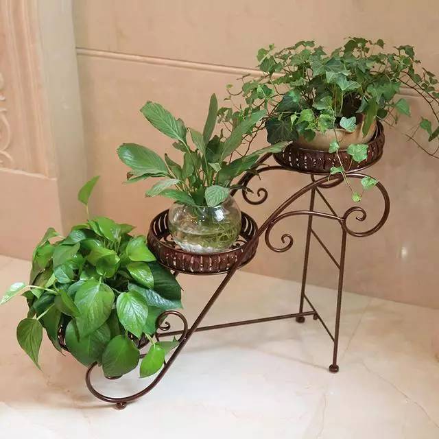 阳台总是不够用，挑些小件来帮忙！