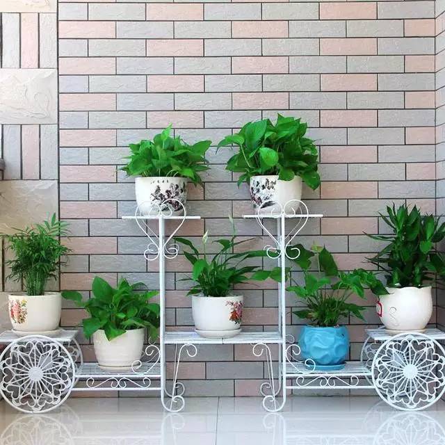 阳台总是不够用，挑些小件来帮忙！