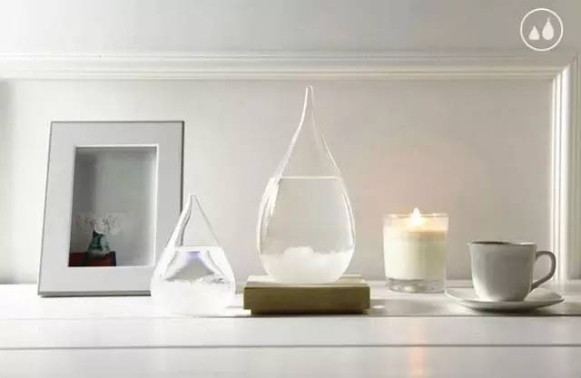 植物也能预报天气，您知道吗？