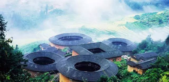 全国各个产区该种哪些苗？