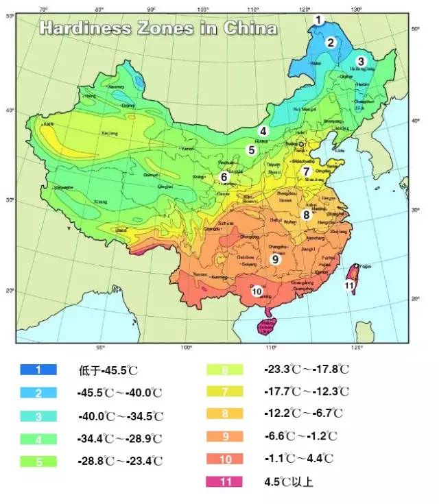 全国各个产区该种哪些苗？
