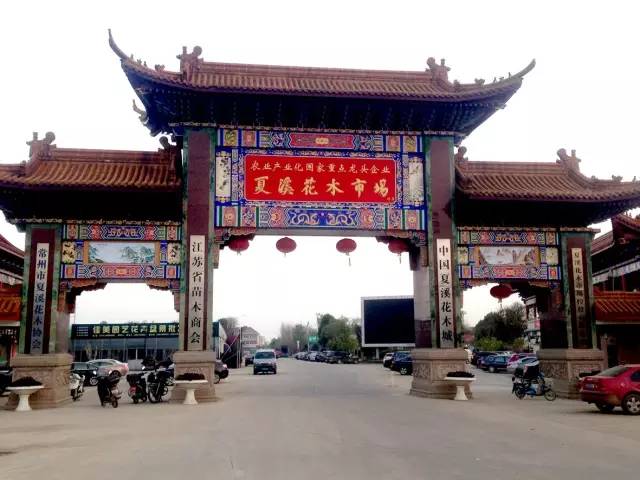 全国各个产区该种哪些苗？