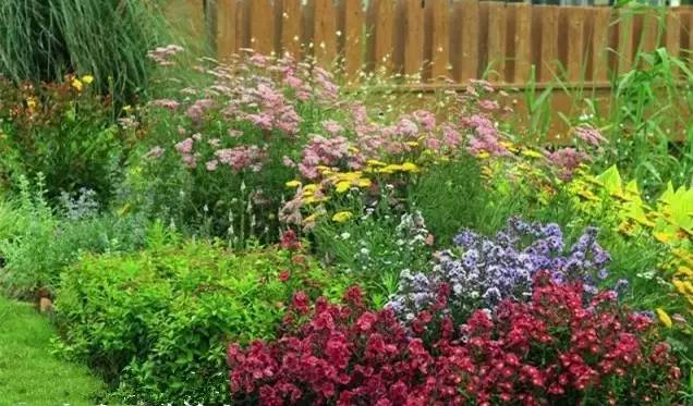 全国各个产区该种哪些苗？