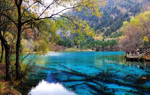 全国各个产区该种哪些苗？