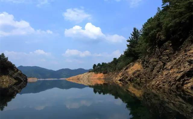 全国各个产区该种哪些苗？