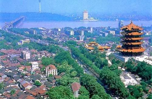 全国各个产区该种哪些苗？