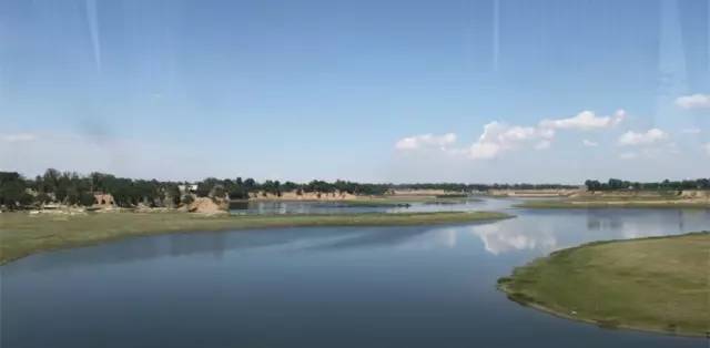 全国各个产区该种哪些苗？