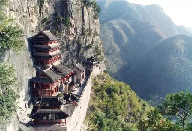 全国各个产区该种哪些苗？