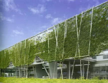 垂直绿化应用案例、方法、植物全解析