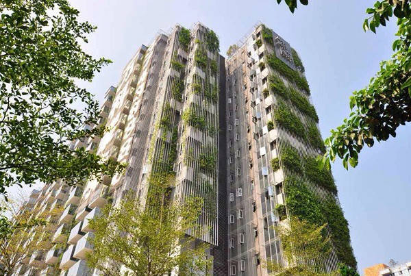 垂直绿化应用案例、方法、植物全解析