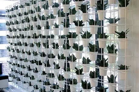 垂直绿化应用案例、方法、植物全解析