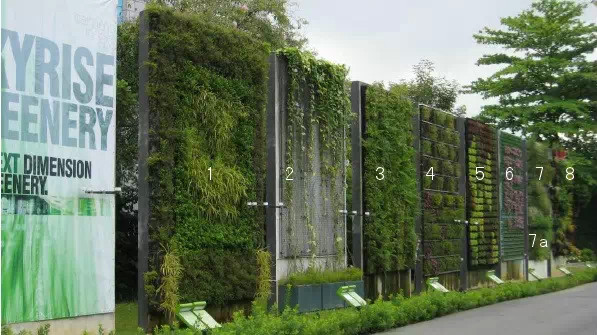 垂直绿化应用案例、方法、植物全解析