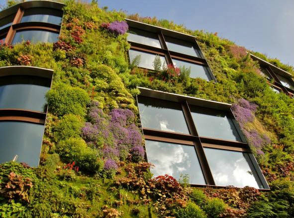 垂直绿化应用案例、方法、植物全解析
