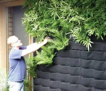垂直绿化应用案例、方法、植物全解析