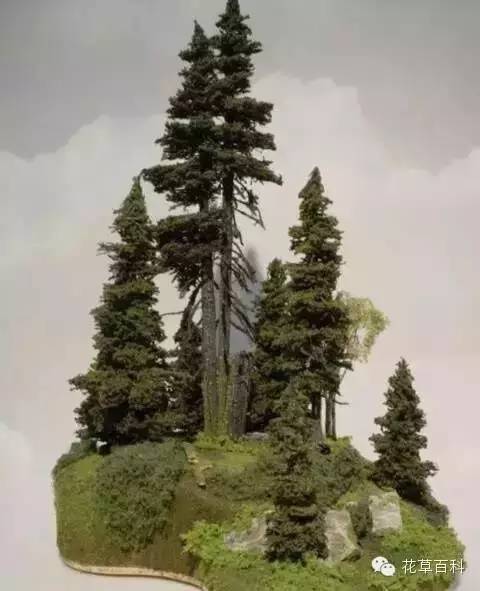 丛林式的盆景艺术，亮瞎了！