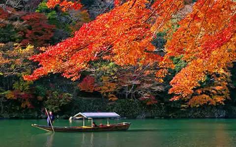 日式民宿庭院创意景观集锦
