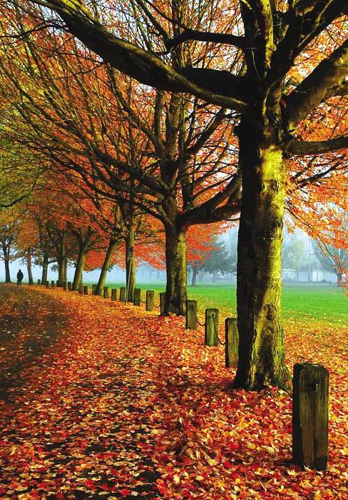 日式民宿庭院创意景观集锦