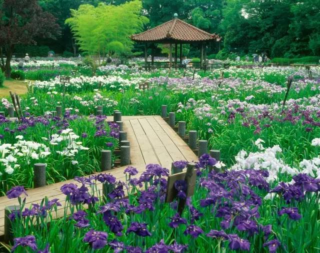 日式民宿庭院创意景观集锦