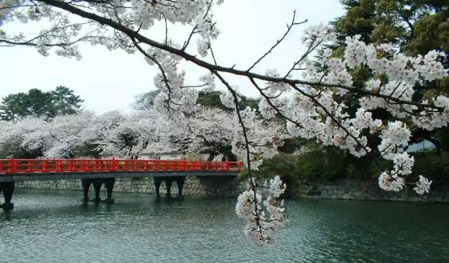 日式民宿庭院创意景观集锦