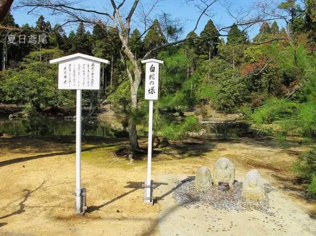 日式民宿庭院创意景观集锦