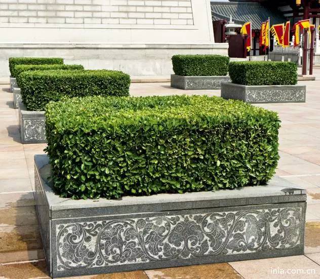 70张中式景观集锦