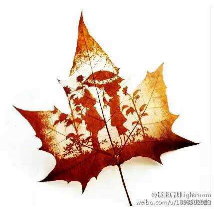 Ps怎么把叶子玩出花样镂空