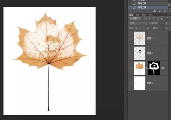 Ps怎么把叶子玩出花样镂空