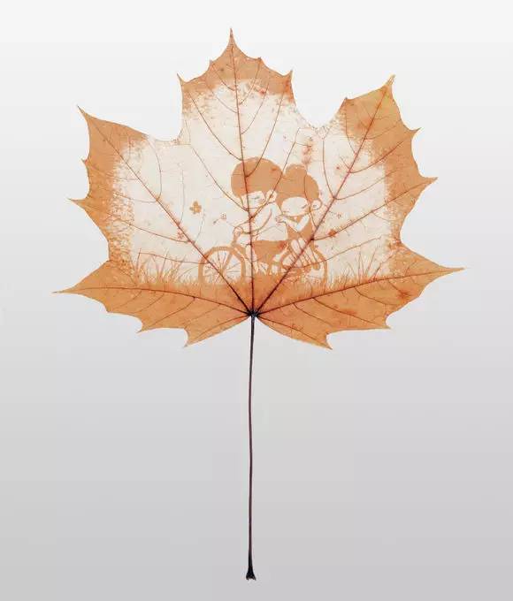 Ps怎么把叶子玩出花样镂空