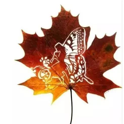 Ps怎么把叶子玩出花样镂空