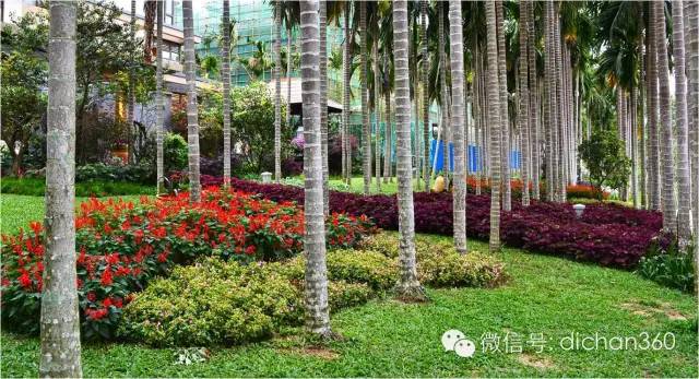 2016年园林成本控制策略全套