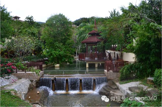 2016年园林成本控制策略全套