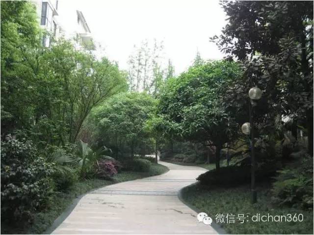 2016年园林成本控制策略全套