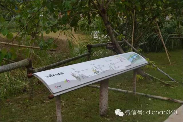 2016年园林成本控制策略全套