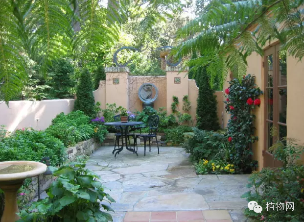 如果我有一方露台，就把它打扮成春天