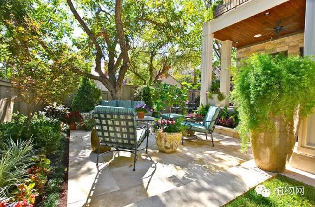 如果我有一方露台，就把它打扮成春天