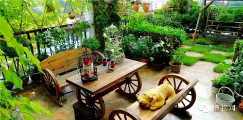 如果我有一方露台，就把它打扮成春天