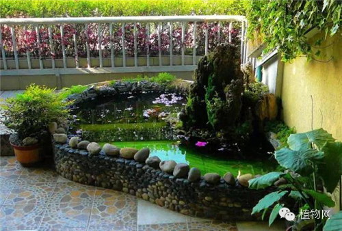 如果我有一方露台，就把它打扮成春天