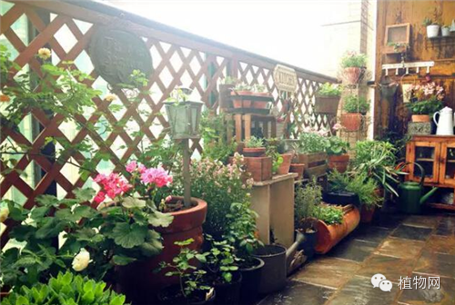 如果我有一方露台，就把它打扮成春天