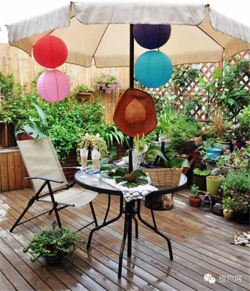 如果我有一方露台，就把它打扮成春天