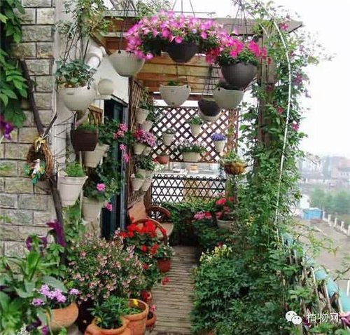 如果我有一方露台，就把它打扮成春天