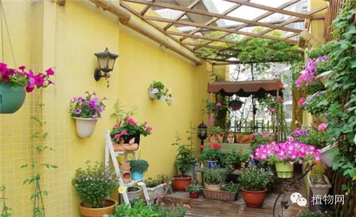 如果我有一方露台，就把它打扮成春天